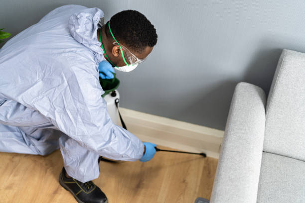 Emergency Pest Control Services in Youngstown, OH